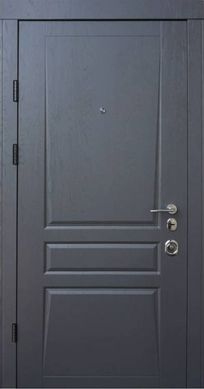 Вхідні двері Qdoors Avangard Trino (два кольори)